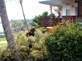 Kauai Estate Landscaping