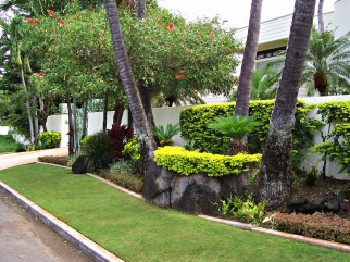 Kauai Estate Landscaping