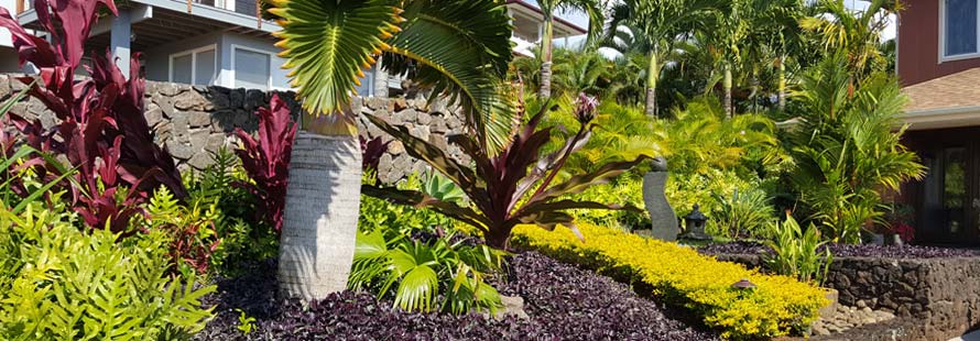 Kauai Landscaping