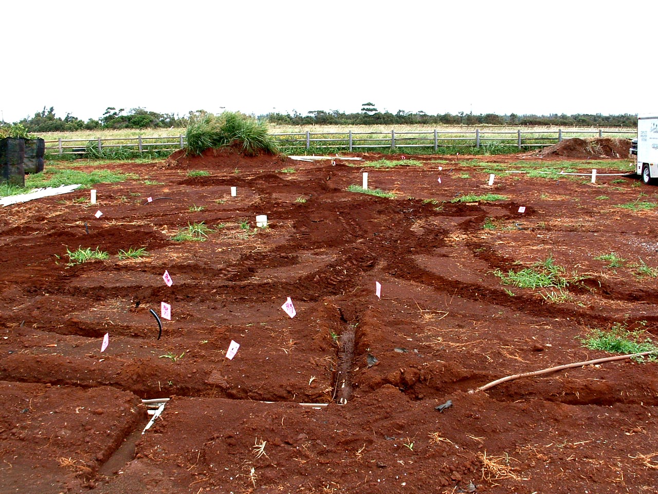Lush Landscaping Irrigation Systems